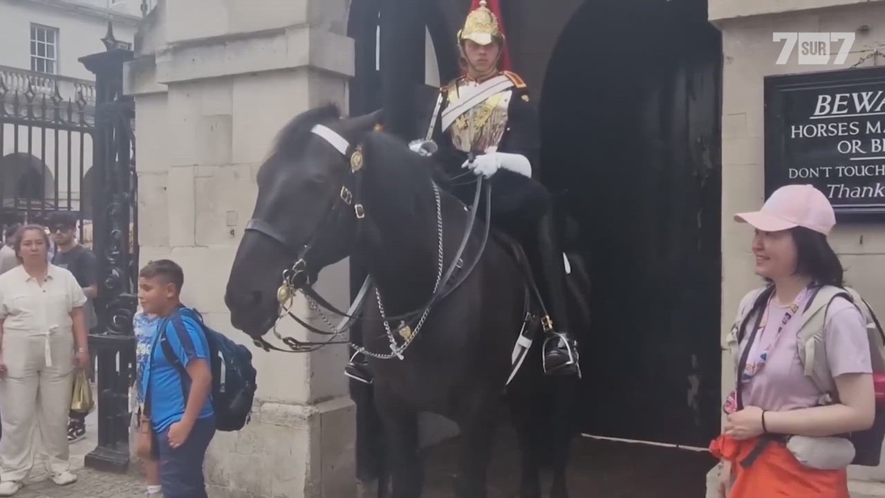 Une touriste mordue par un cheval de la Garde du roi